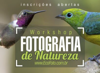 Dezembro: Workshop de Fotografia de Natureza!